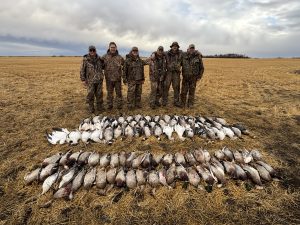 Duck and goose hunting in Canada