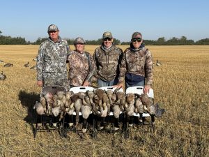 Duck and goose hunting in Canada